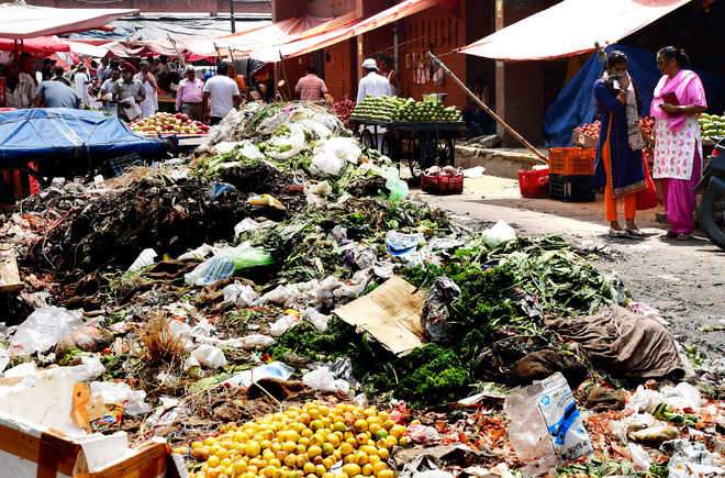 Image from: UT hires consultant, seeks green nod for Sec 39 mandi