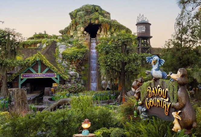 Image from: Disneyland horror as schoolboy plummets 50 feet climbing out of ride without seatbelts
