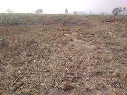 Image from: Congress seeks probe into land deal by MP CM Mohan Yadav kin