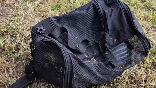 Image from: Cyclist spots a travel bag in a bush: its contents will haunt her for life!