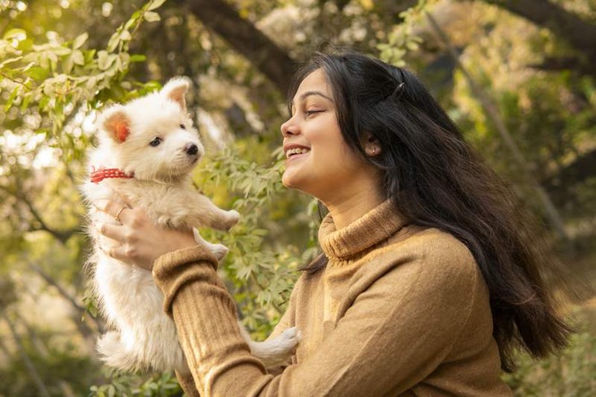 Image from: Gurugram makes dog registration mandatory again; bite cases top 100 a day as past orders fall flat