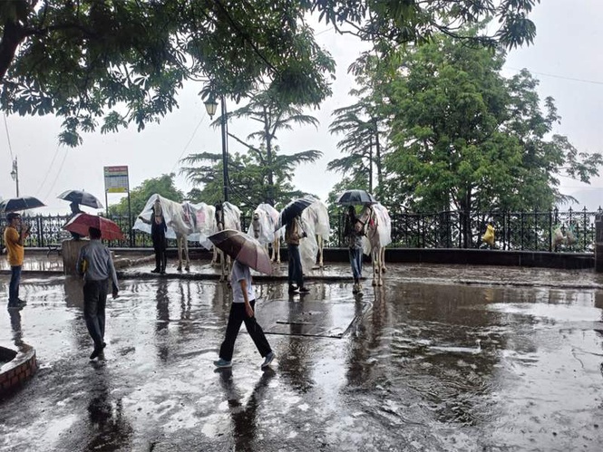 Image from: Himachal Pradesh: Pleasant weather, rainfall draw tourists to Shimla; visitors praise clean air, scenic beauty