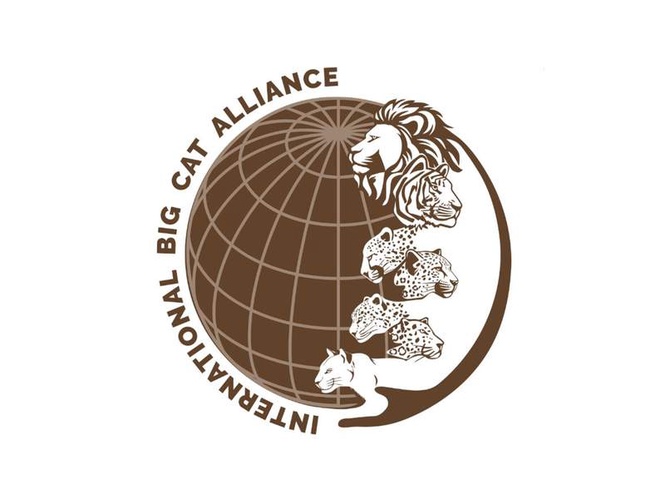 Image from: Bangladesh joins India-led International Big Cat Alliance