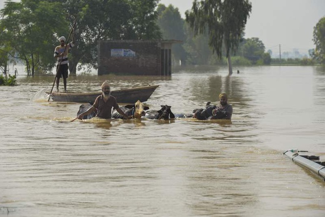 Image from: Punjab floods of 2025 featured as case study in new Class 9 NCERT social science textbook