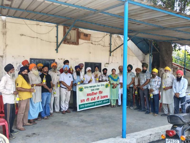 Image from: Farmers get tips on fighting fruit fly menace in Tarn Taran