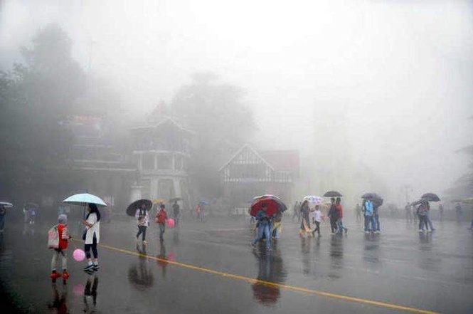 Image from: Rain to continue in Himachal today; yellow alert issued for 5 districts