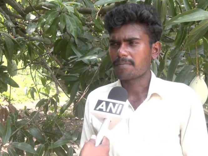 Image from: Mango farmers in Madurai leave produce to rot as prices crash to Rs 3 per kg; demand MSP of Rs 20