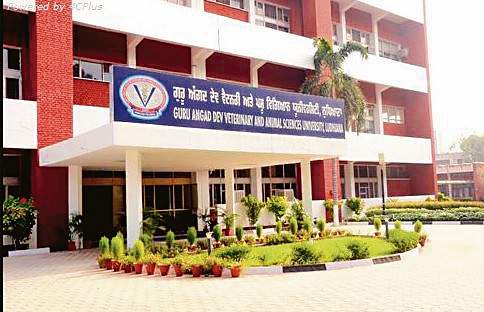 Image from: Varsity turns small eggs into big opportunity