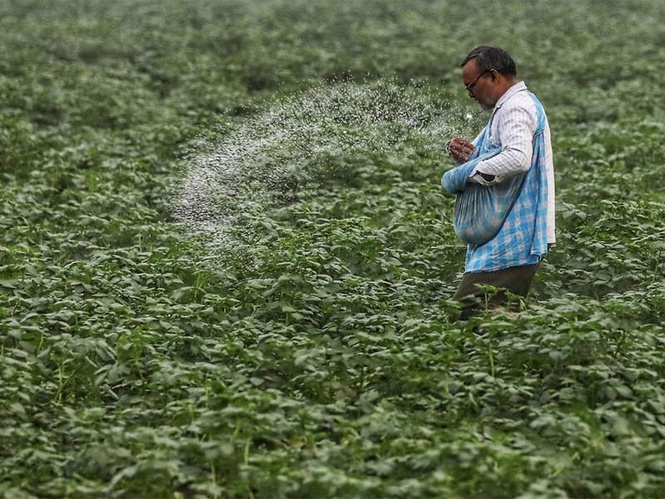 Image from: India explores roadmap for Green Urea production, plans procurement of 7.24 lakh MT green ammonia