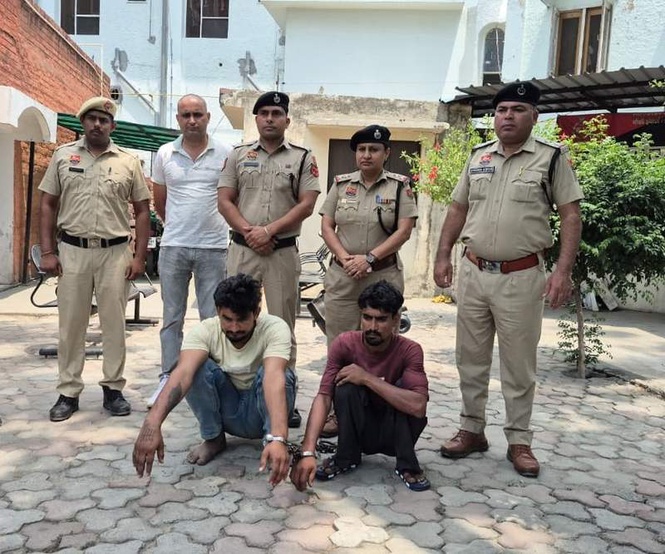 Image from: 23 cattle rescued from overcrowded truck, 2 held
