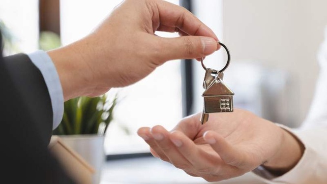 Image from: Estate agent visiting flat finds tiny squatters hiding among the boxes
