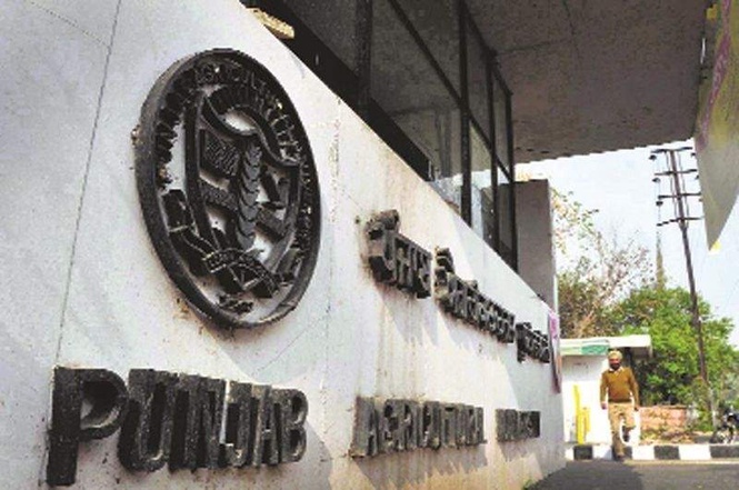 Image from: Punjab Agricultural University, NCC partner to promote youth development