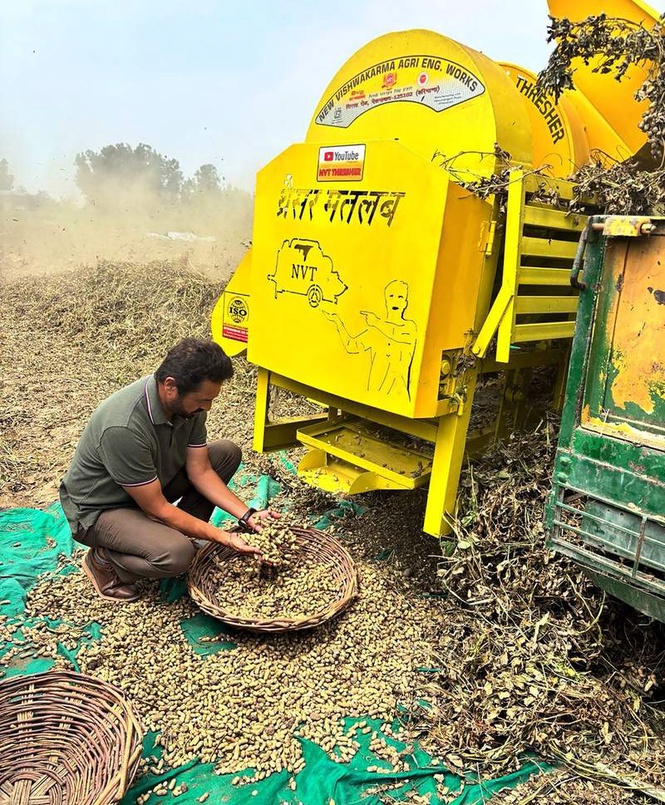 Image from: Kapurthala farmers reap rich harvest of spring groundnut