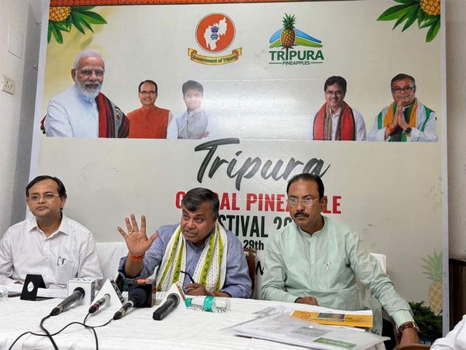 Image from: Government of Tripura to Host Tripura Global Pineapple Festival 2026 in New Delhi