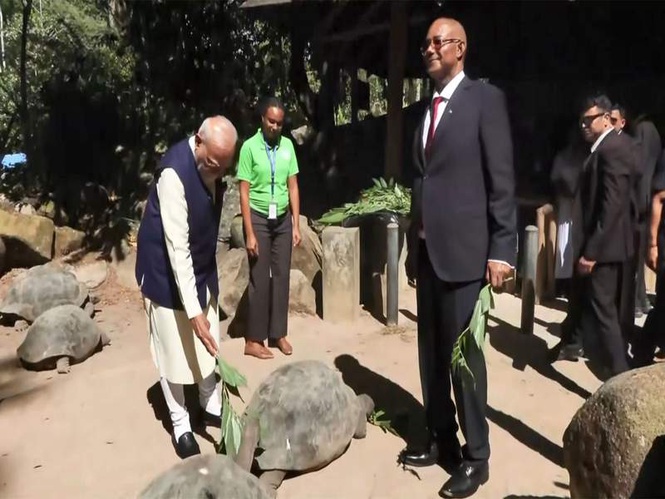 Image from: PM Modi feeds world's oldest living land animal 'Jonathan' during Seychelles visit