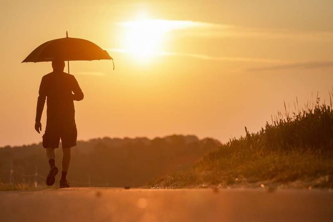 Image from: Record-warm night in Germany with low of 29.4 degrees amid heatwave