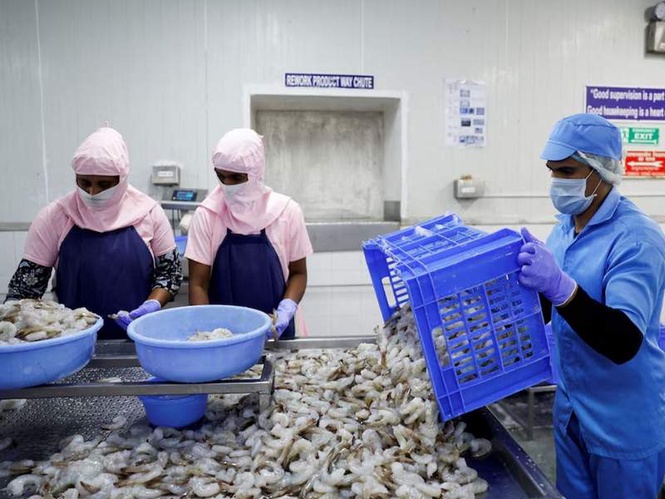 Image from: China emerges as key growth driver for India’s frozen shrimp exports; US remains top market in FY26