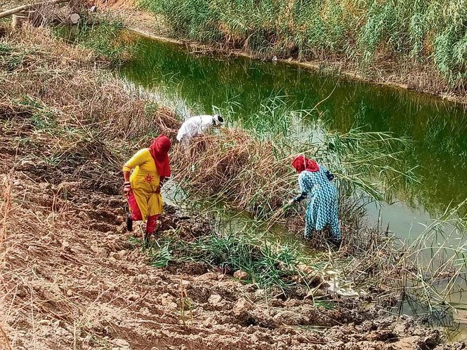 Image from: Divisive scheme : MGNREGA substitute triggers disagreement