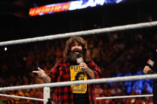 Image from: Mick Foley makes post about WWE Hell in a Cell 28 years on from facing The Undertaker