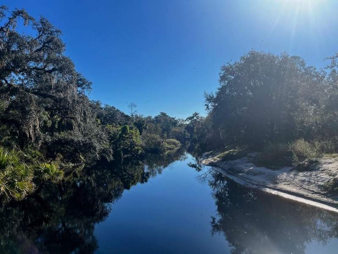 Image from: Swimmer dies after being ripped limb-from-limb by alligator in blood-curdling attack in front of friends
