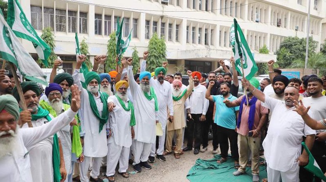 Image from: BKU (Rajewal) stages dharna in Jalandhar over erratic power supply for paddy cultivation