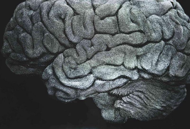 Image from: Consciousness: how ‘working memory’ may mysteriously give rise to it
