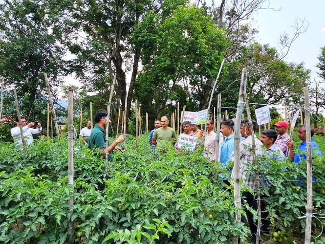 Image from: Over 1,200 Himachal farmers benefit from ICAR-CPRI’s ‘Khet Bachao Abhiyaan’