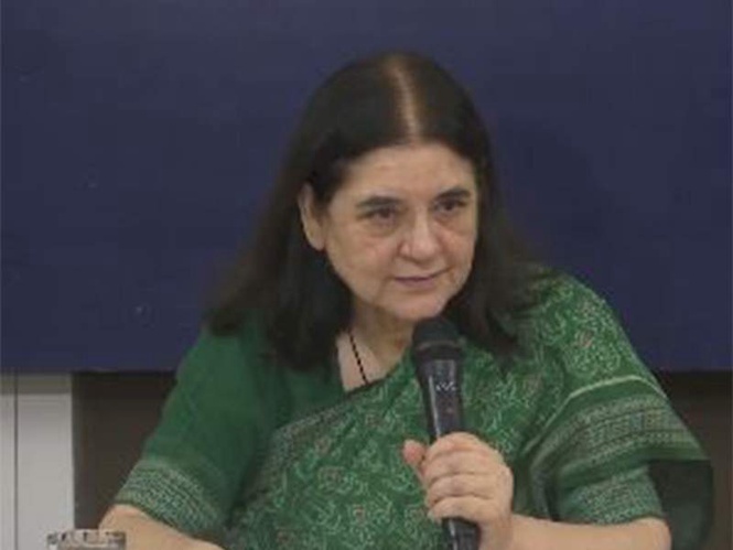 Image from: Peacock feather row: Maneka Gandhi calls for rethink on exemptions, cites wildlife law loopholes