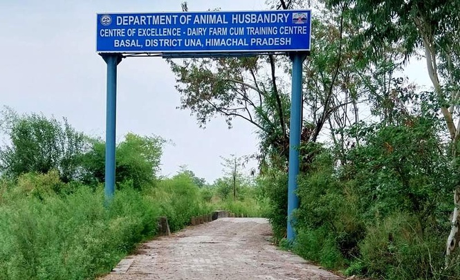 Image from: No bidders stall construction of Rs 44-crore dairy centre in Una