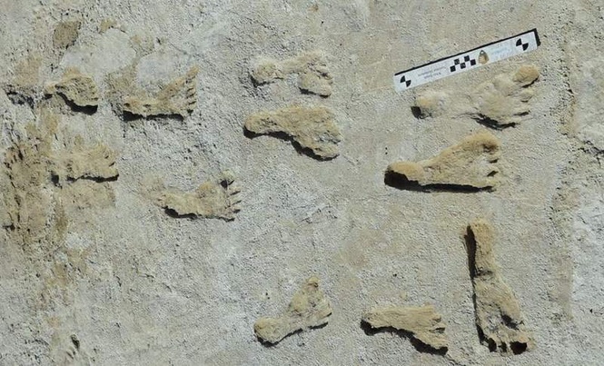 Image from: Ancient Mud in New Mexico Confirms 23,000-Year-Old Human Footprints with New Dating Evidence