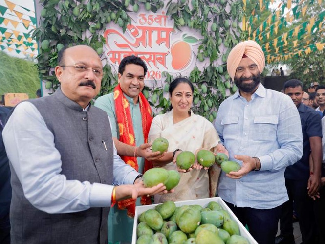 Image from: Delhi CM Rekha Gupta inaugurates 35th Annual Mango Festival, says "Mango Diplomacy" given new identity to India's culture