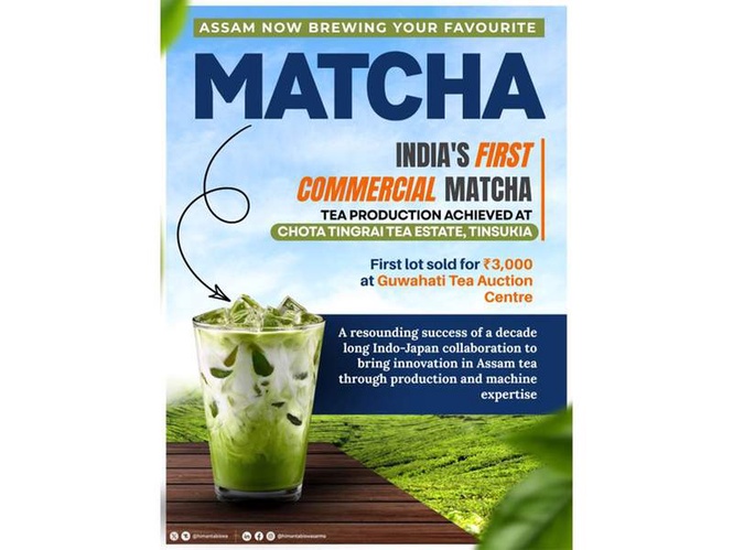 Image from: Assam tea estate launches India's first commercially produce Matcha tea