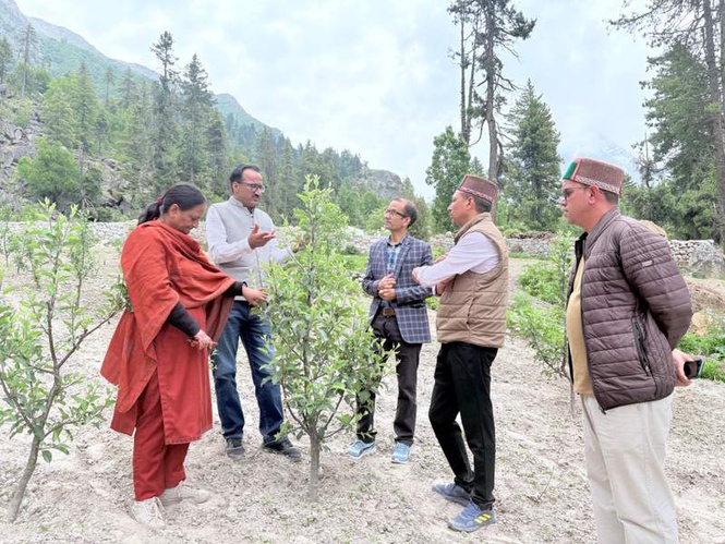 Image from: Kinnaur KVK directed to develop Kalpa farm into eco-tourism venture
