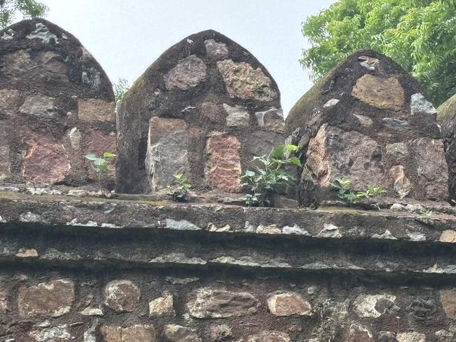 Image from: 6-century-old monuments in Delhi’s Lodhi Garden face ‘growing’ threat