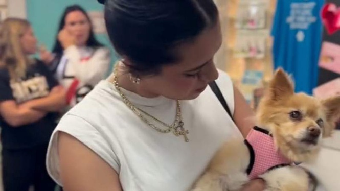 Image from: Woman gets call about her missing dog, but hangs up thinking it’s a scam