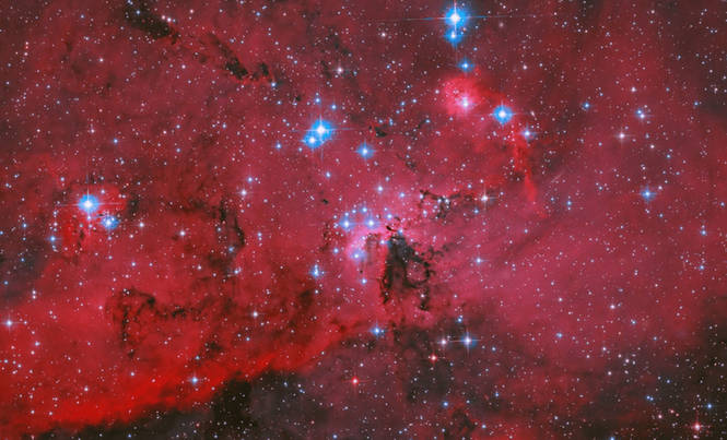 Image from: Hubble Unveils A Stunning Stellar Nursery Where Thousands Of Stars Are Still Being Born