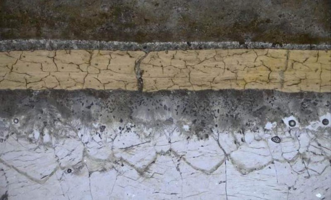 Image from: Scientists Just Found the First Molecules Ever Preserved Inside an Exceptional 113-Million-Year-Old Fossil