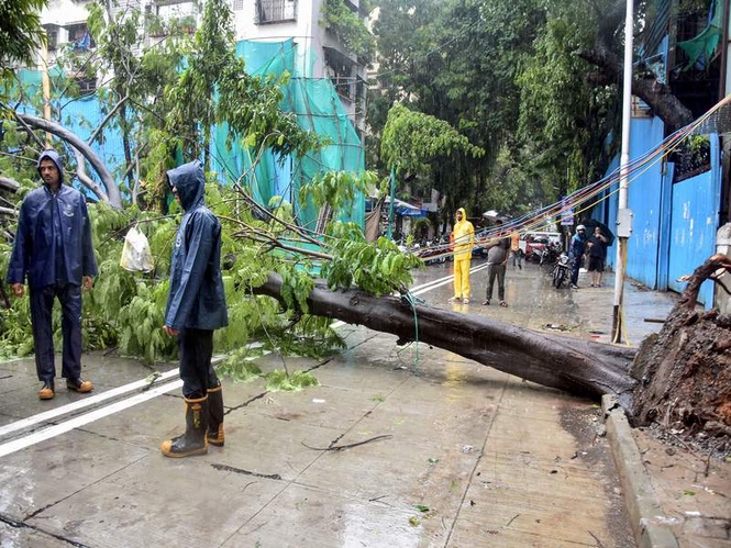 Image from: Schools in Mumbai Metropolitan Region to remain shut tomorrow as IMD issues orange alert for heavy rain