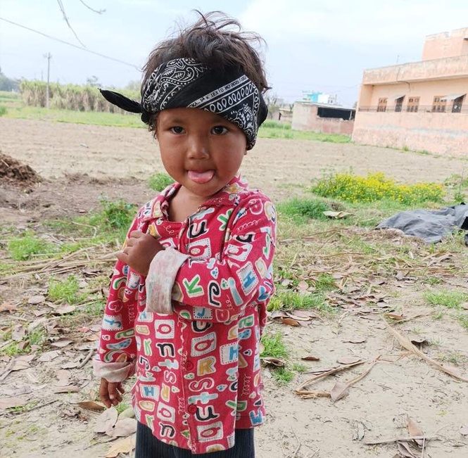 Image from: Stray dogs maul migrant labourer’s 4-year-old daughter to death in Hoshiarpur