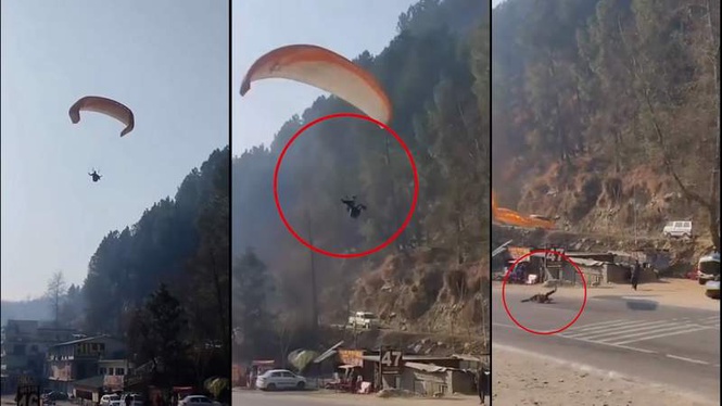 Image from: Video: Paragliding pilot injured after crash landing on busy Himachal’s Kullu national highway
