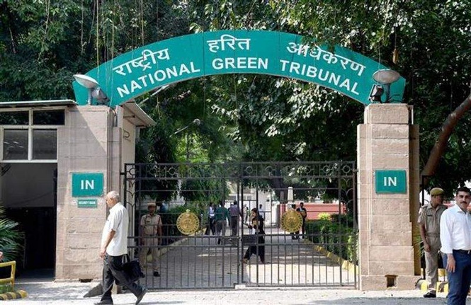 Image from: Encroachment in Saket forest area: NGT seeks report from DDA on pending court cases