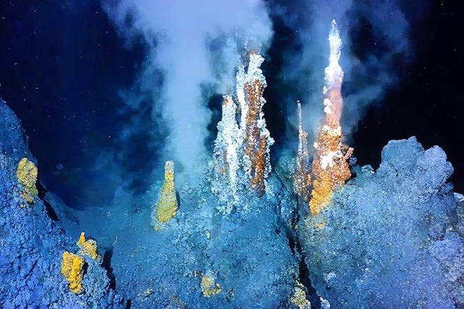 Image from: In our deep oceans, evolution is supercharged – this diversity of life could help unlock humanity’s greatest challenges