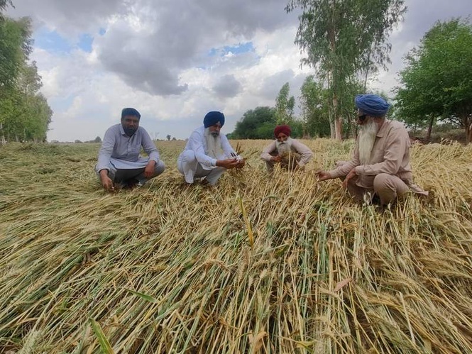 Image from: Haryana to launch ‘Kisan Kalyan Rath Yatra’ to cover 6,600 villages in month-long outreach