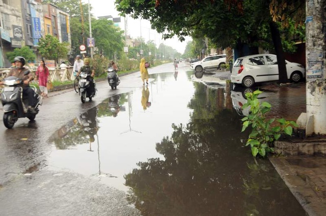Image from: Mild showers boost paddy transplantation in Amritsar