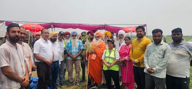 Image from: Van Mahotsav launched with plantation drive in Ludhiana