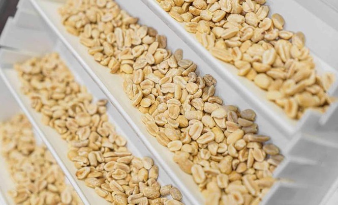 Image from: FDA Recall Alert Targets Popular Roasted Peanuts Sold Nationwide
