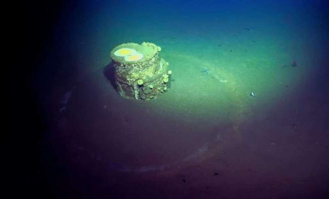 Image from: Scientists Have Discovered Mysterious Barrels Encircled by Strange White Halos on the Ocean Floor
