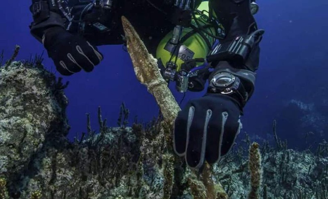Image from: In The Greek Islands, Divers Have Discovered More Than 50 Remarkably Preserved Artifacts from a Shipwreck Beneath the Seafloor