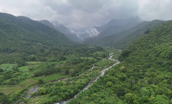 Image from: Scientists Found a Fossil Along a River in China, and It Seems to Have Solved a 160-Million-Year-Old Mystery