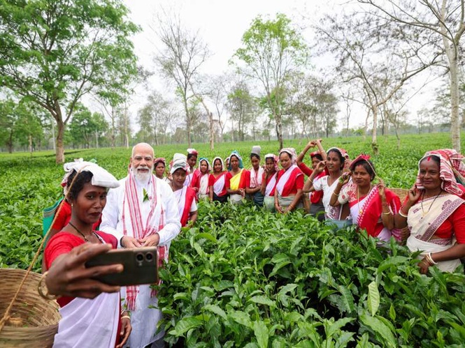 Image from: Assam, Bengal tea producers urge PM Modi to withdraw notification mandating 50% sale through auctions